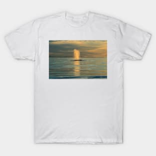 Humpback Whale at Sunset T-Shirt